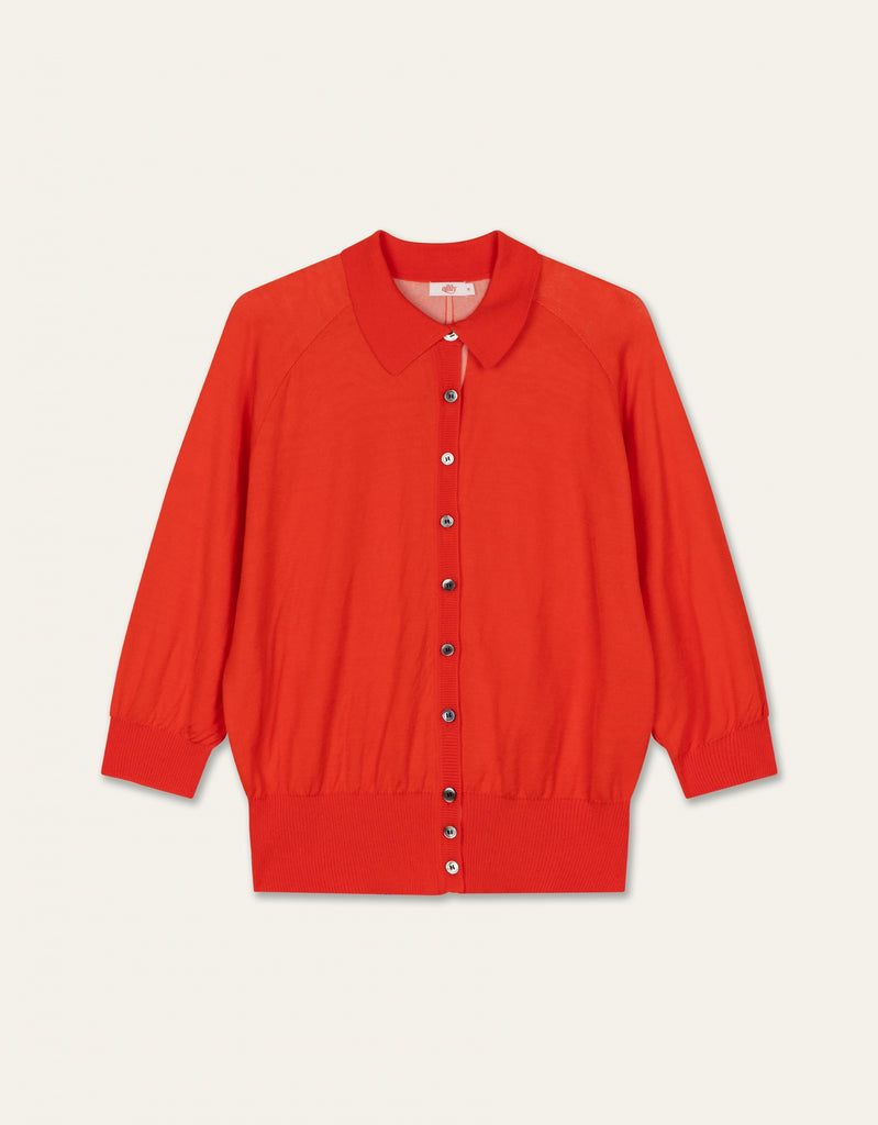 Viburnum Cardigan