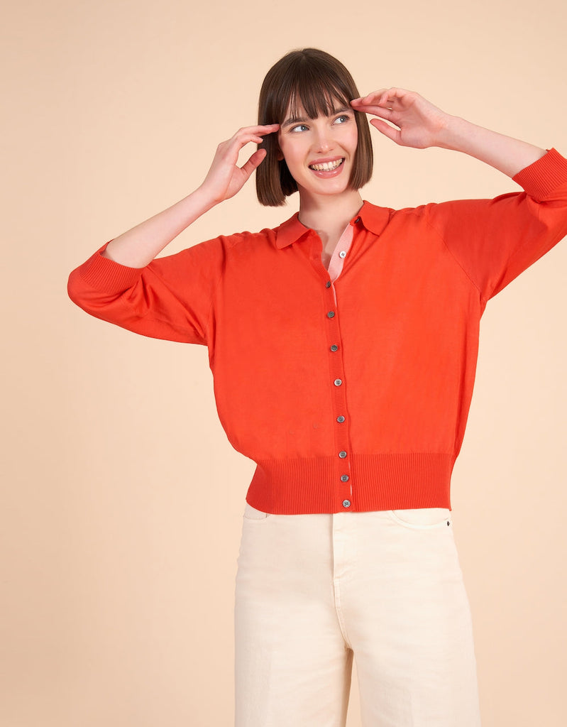 Viburnum Cardigan