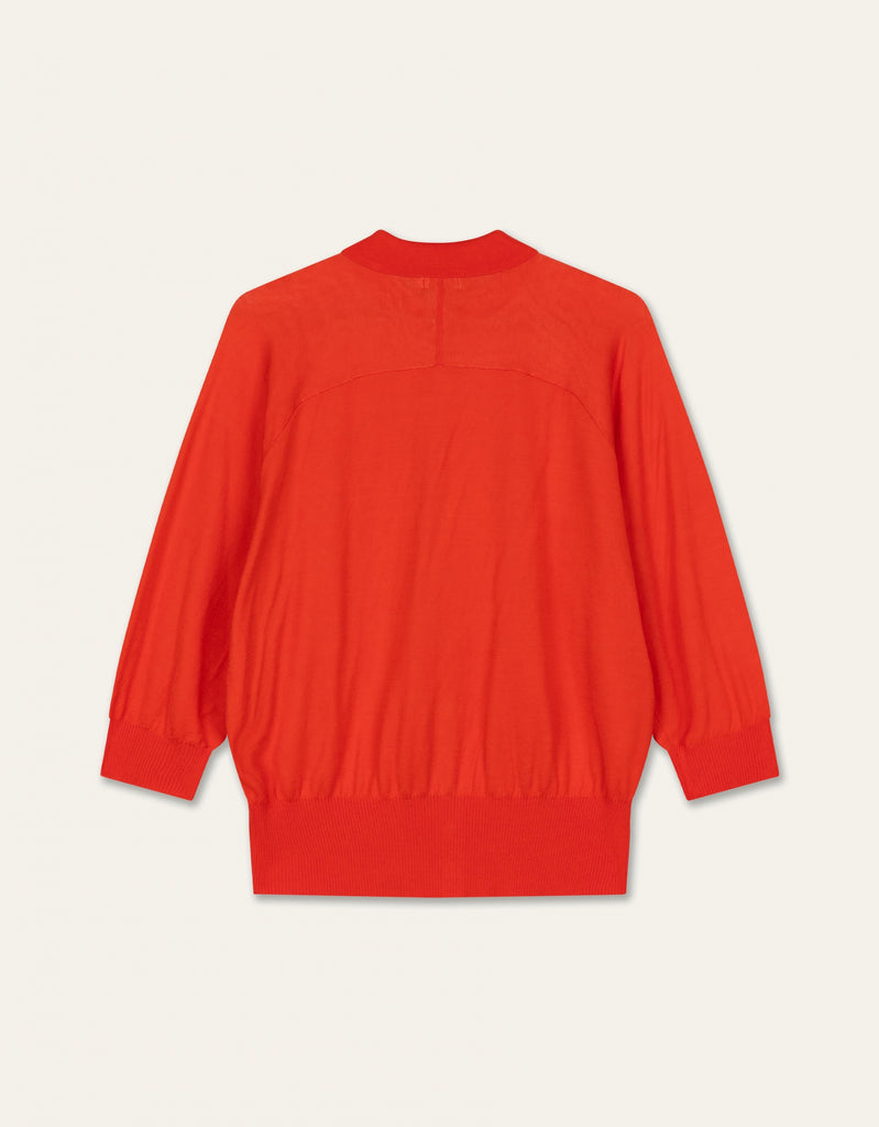 Viburnum Cardigan