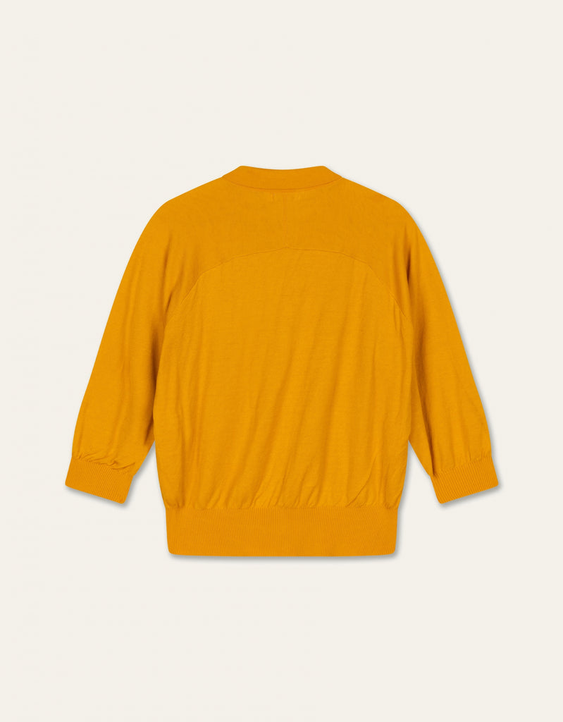 Viburnum Cardigan
