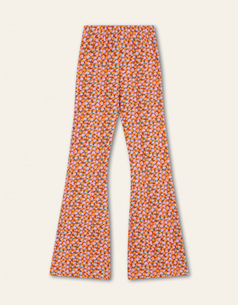 Pansy Broek