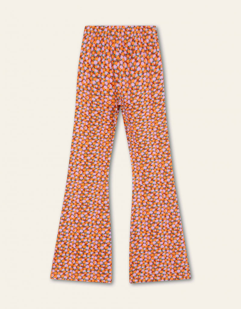 Pansy Broek