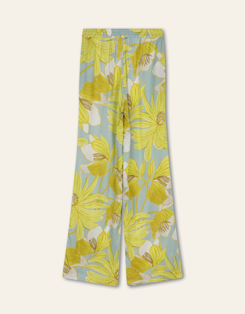 Palette Hose