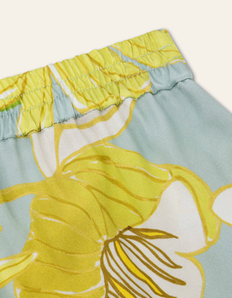Palette Hose