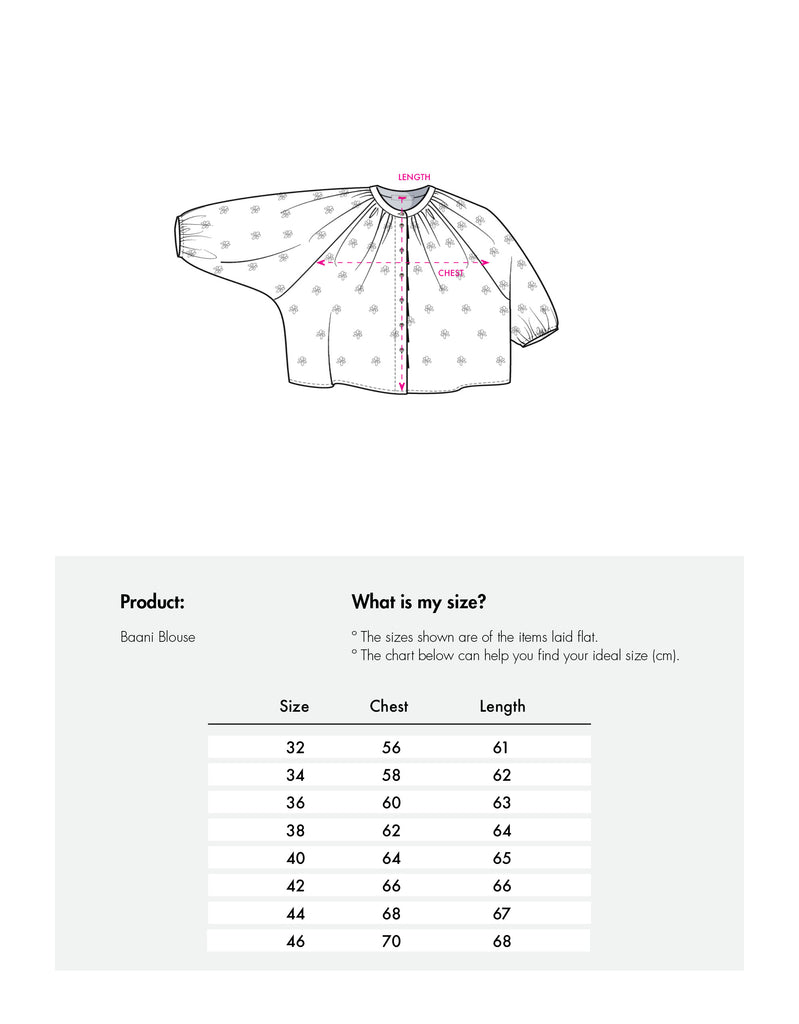 Baani Bluse