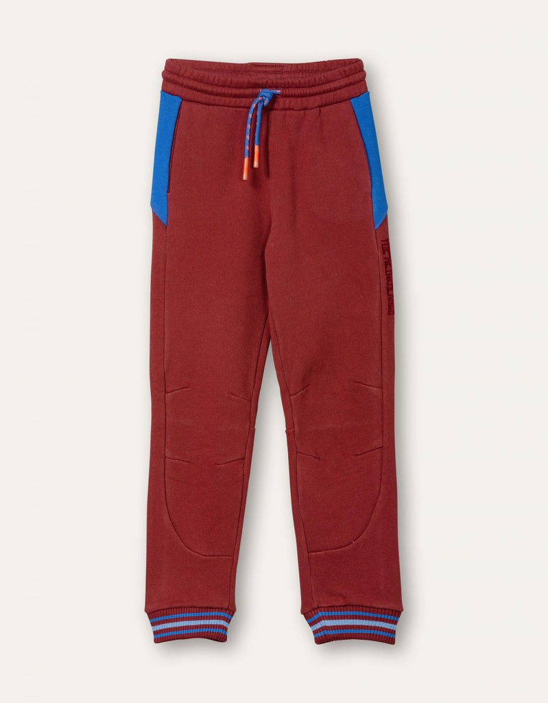 Pim Broek