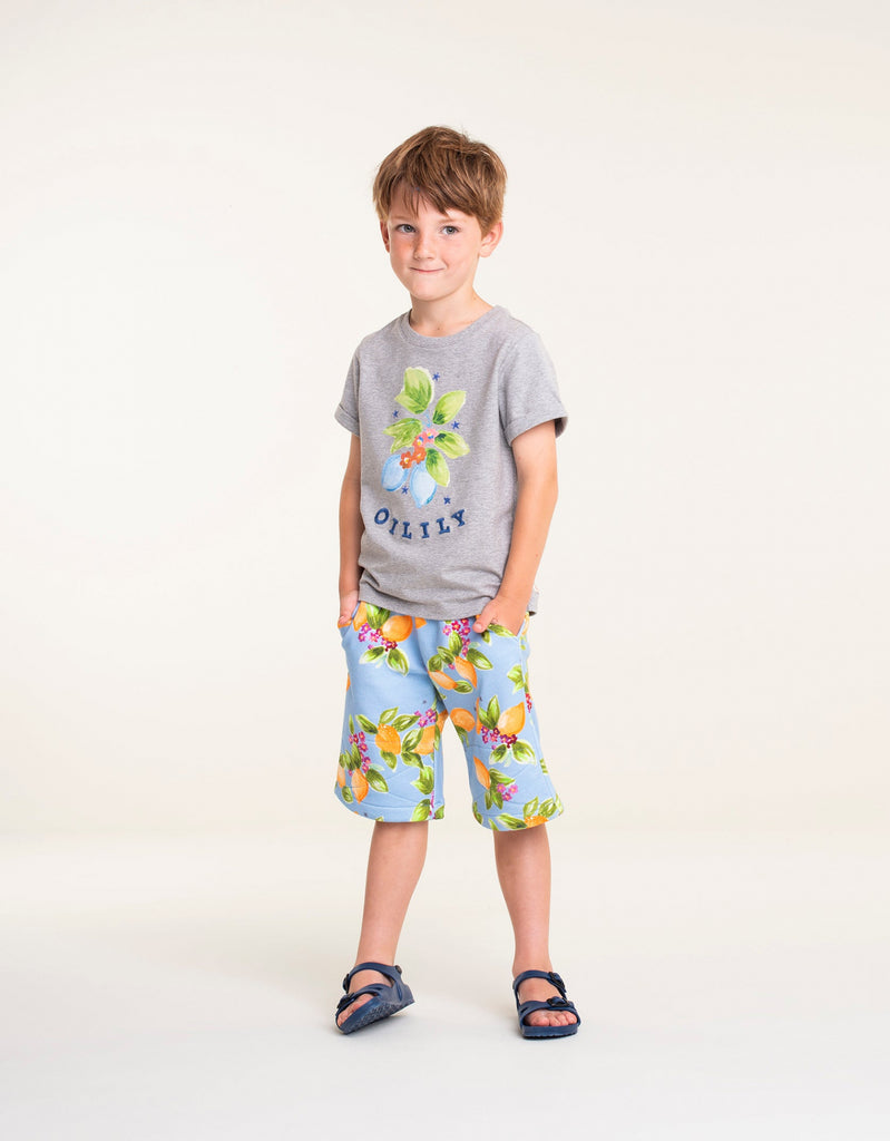 Prins sweat shorts