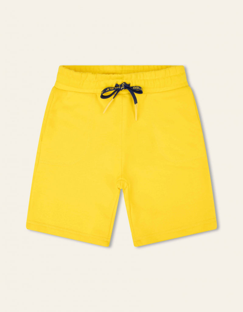 Palmer Broek