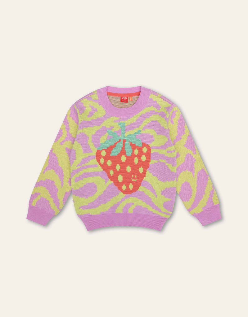 Kiwi Pullover